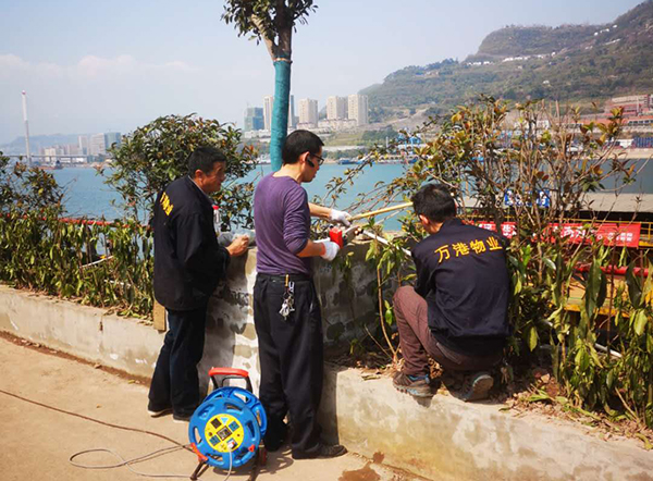 5c9c389490ace.jpg 微信圖片_20190327185651.jpg